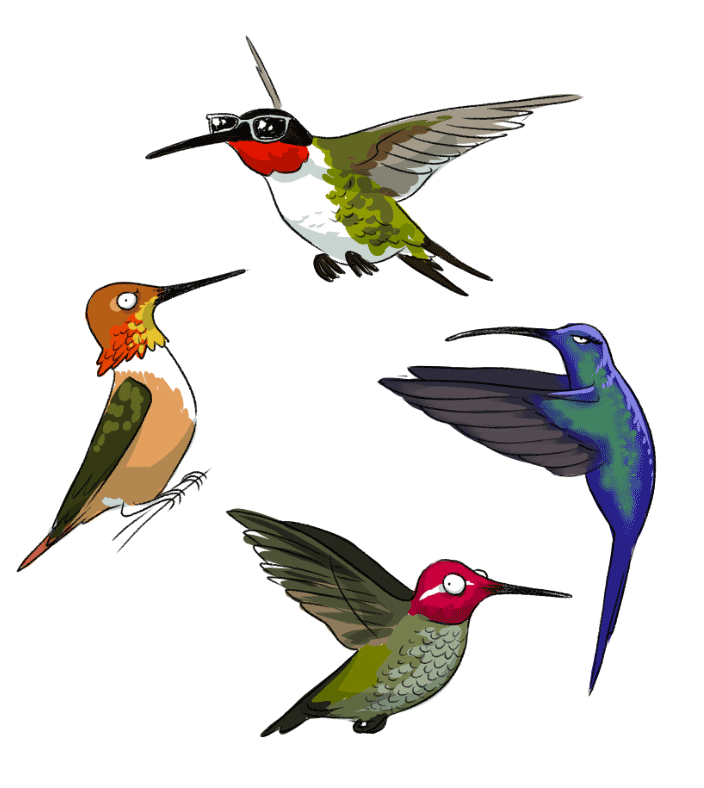 aod_hummingbirds